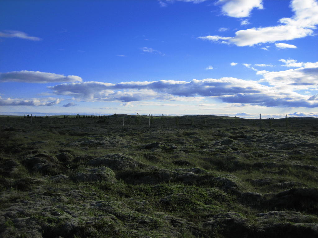 Icelandic Cottages Hraunmork Екстериор снимка